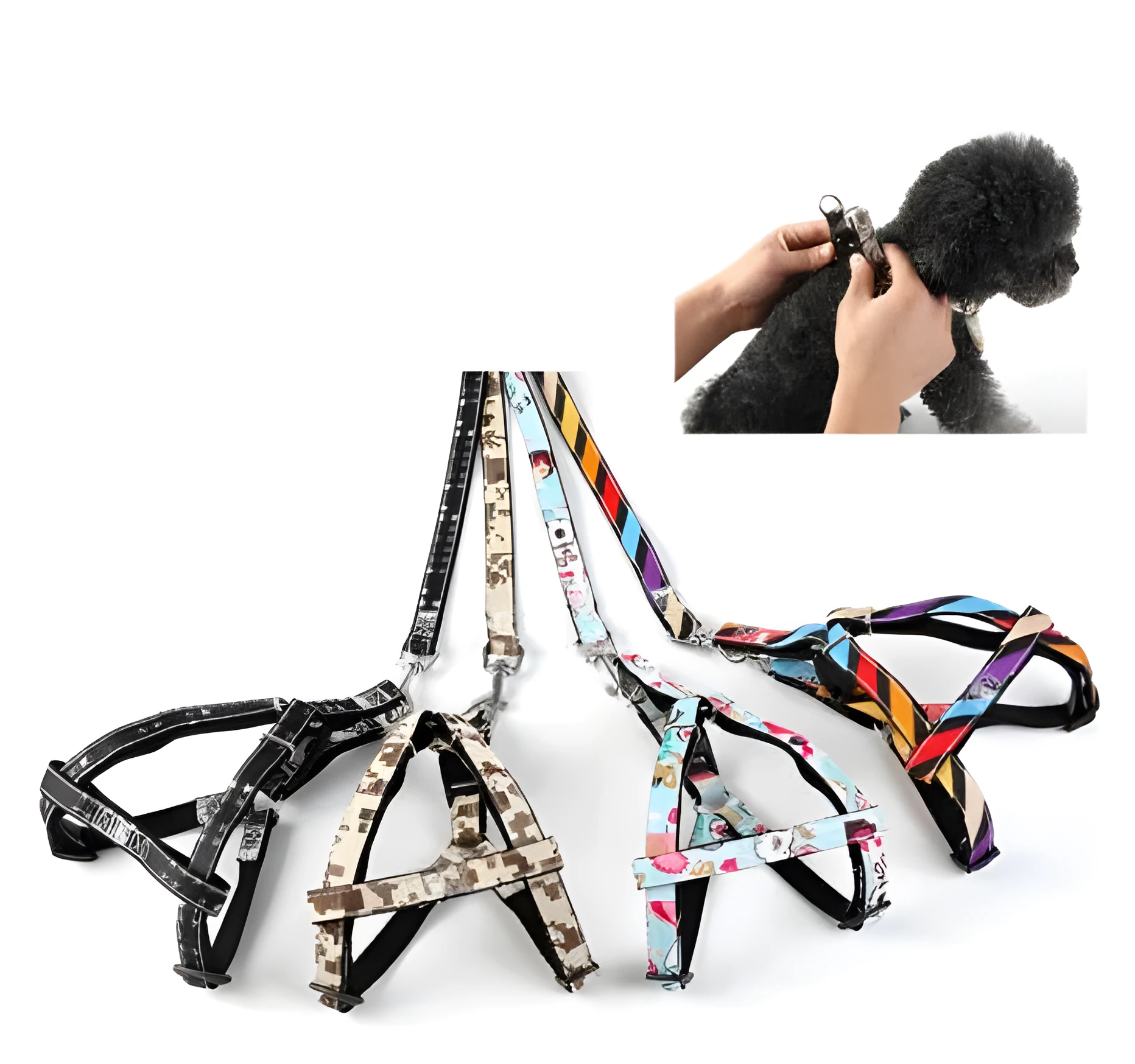 Cowboy dog leash, nylon print pattern, adjustable, for small dogs, black and colourful options