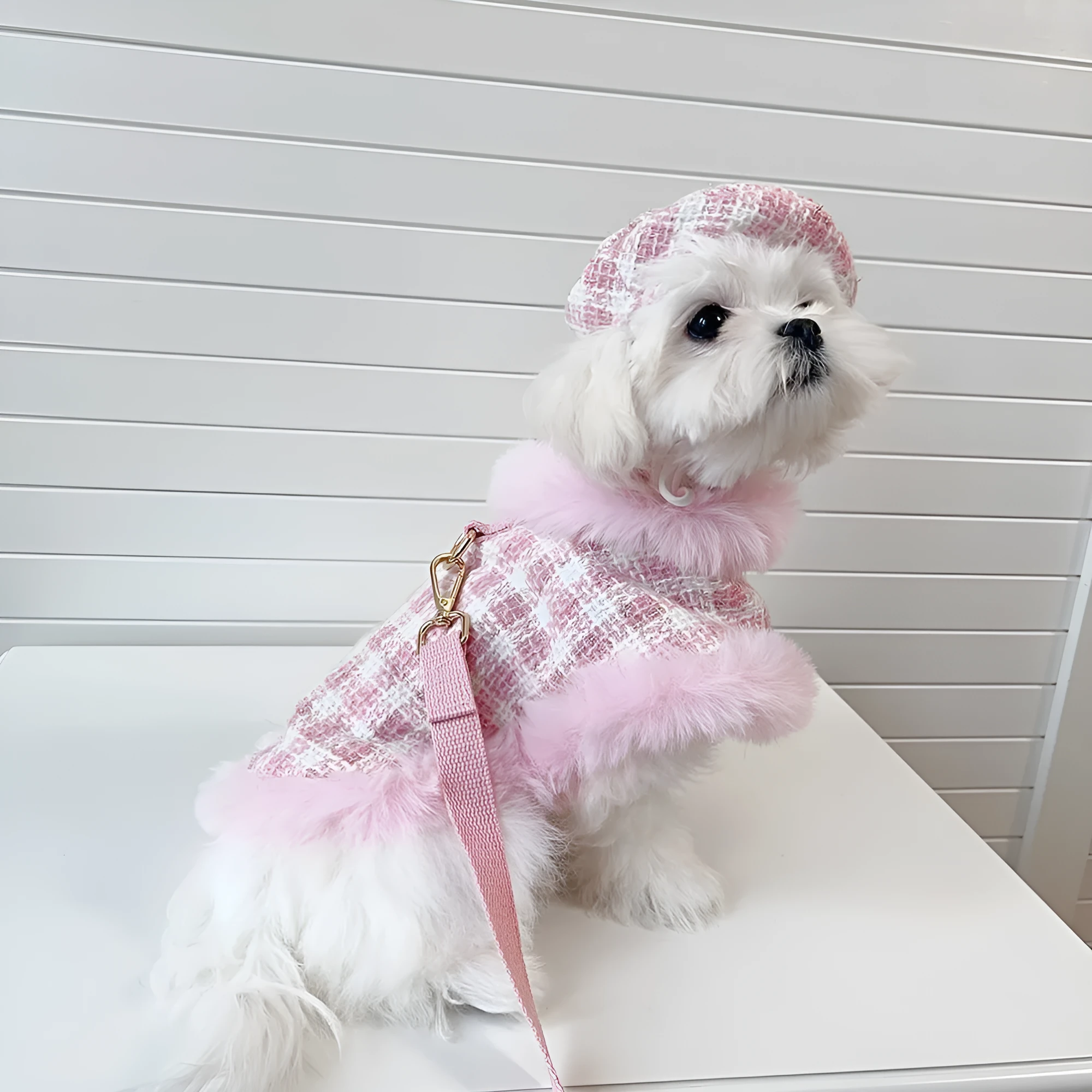 Pink polyester cat costume set with cape, beret and hand-holding rope leash in sizes XS to XL