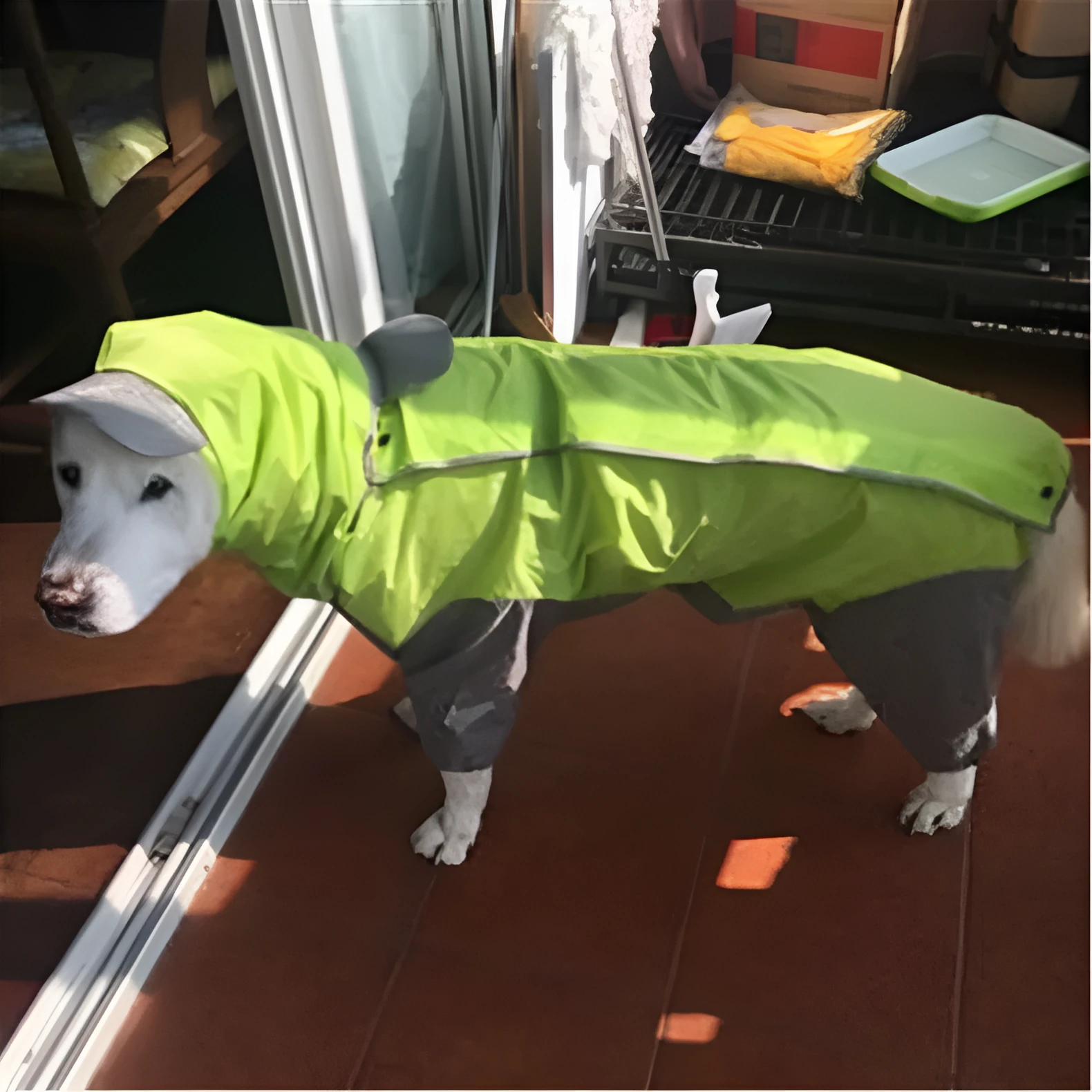 Dogs all-inclusive raincoat in blue PU material with adjustable size fit for outdoor use