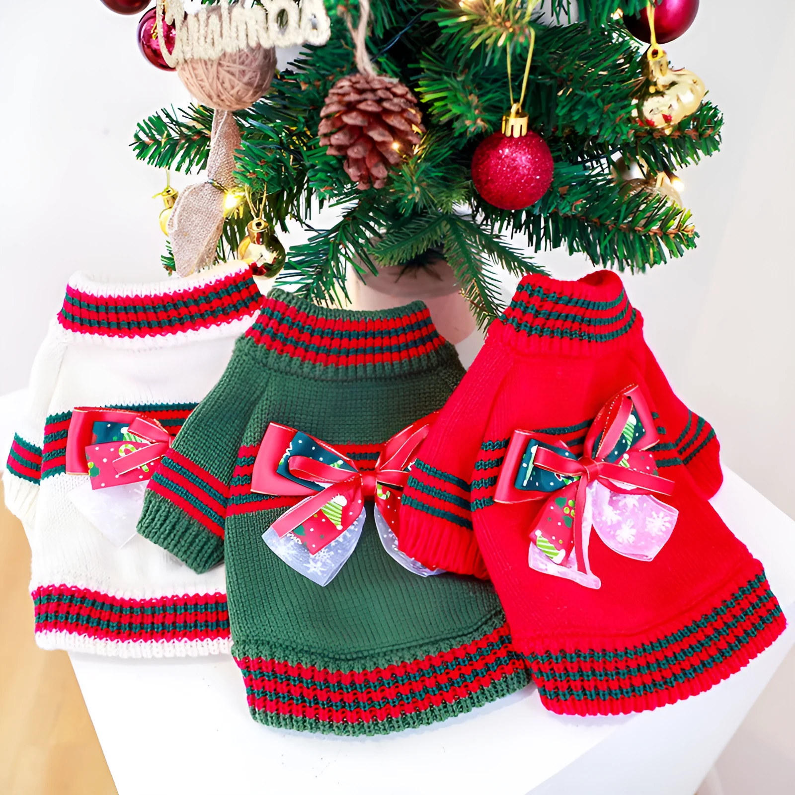 Red 'Merry Christmas' knitted jumper on a small dog, showing festive pattern and full-body fit.