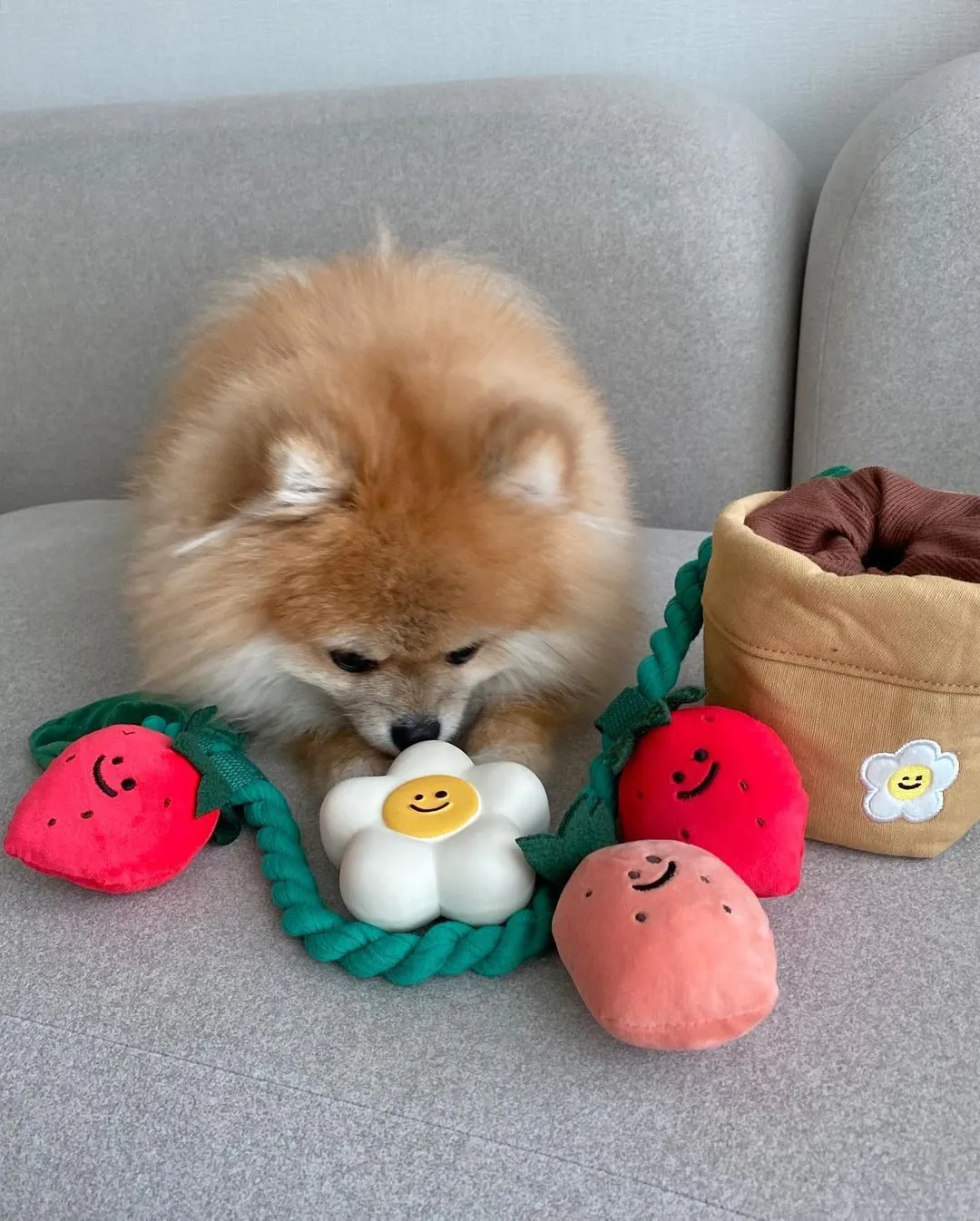 Strawberry potted plant set plush pull toy with hidden food compartment for pets