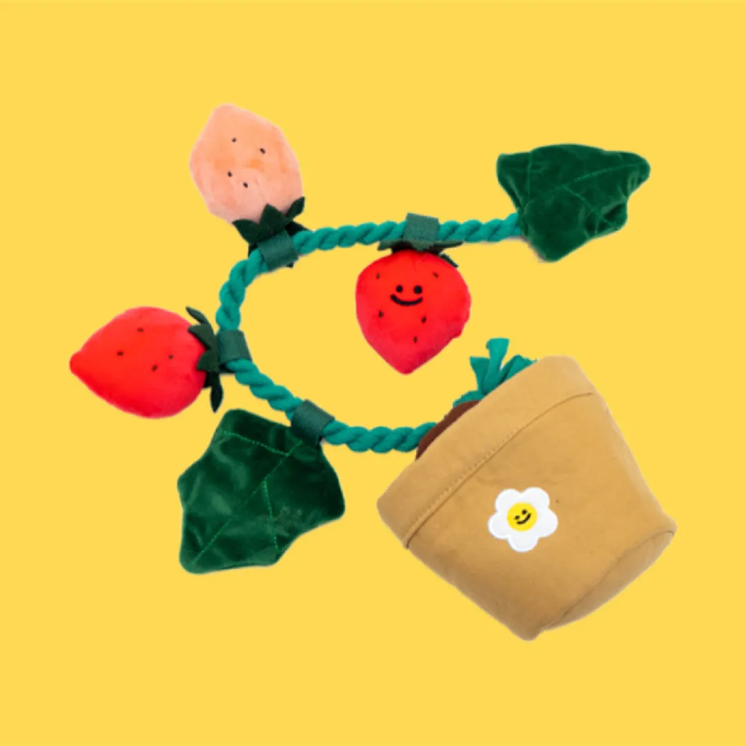 Strawberry potted plant set plush pull toy with hidden food compartment for pets