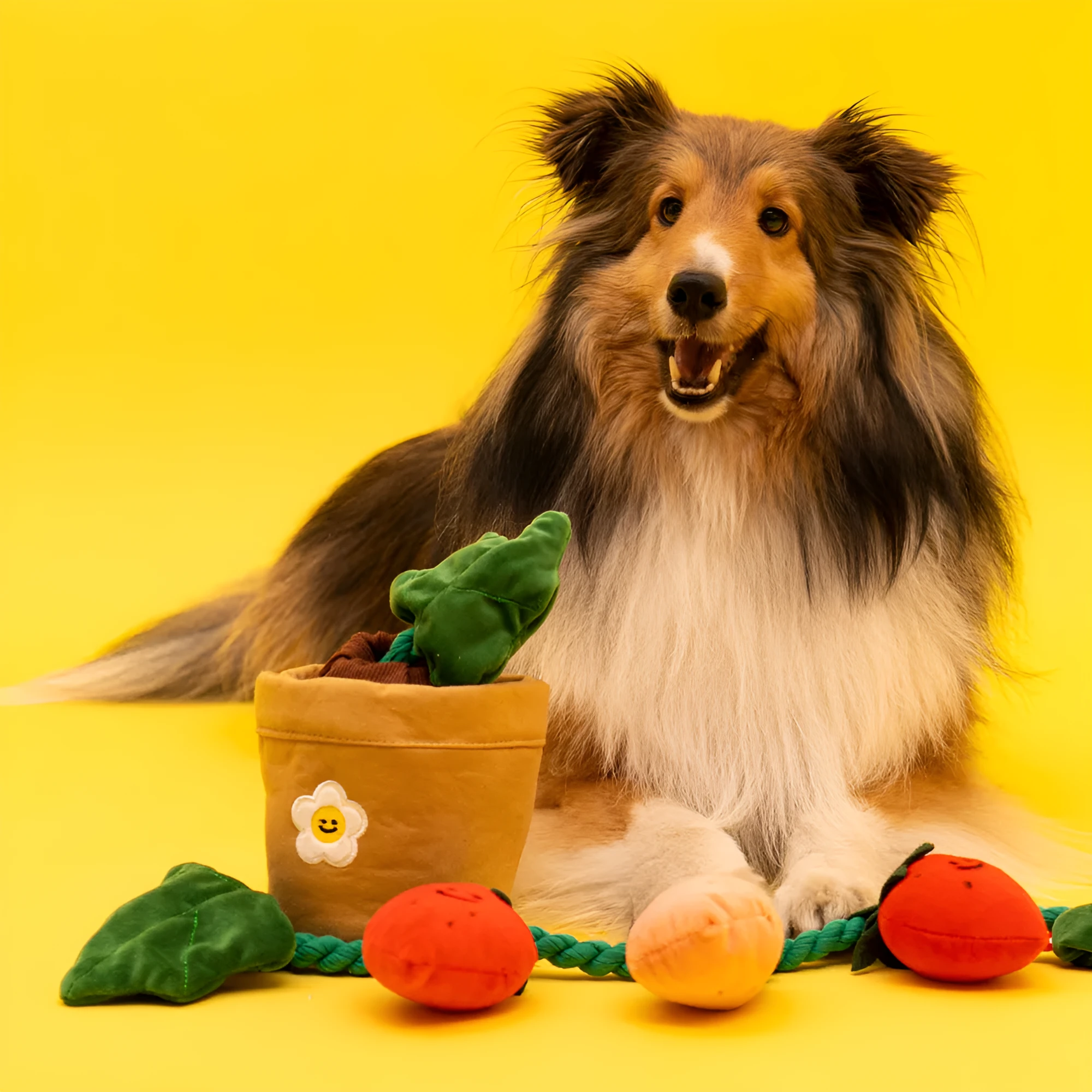 Strawberry potted plant set plush pull toy with hidden food compartment for pets
