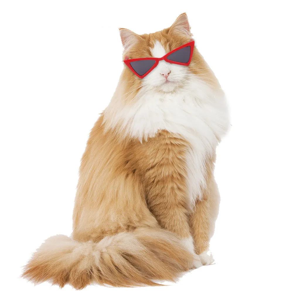 Funny plastic glasses for dogs and cats in nine colours with leisure-style plastic frames