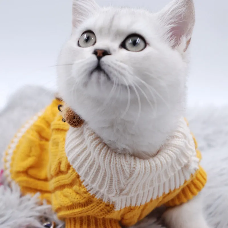 Classic knitted pet sweater in pink for small dogs, with twist button closure, on a white background
