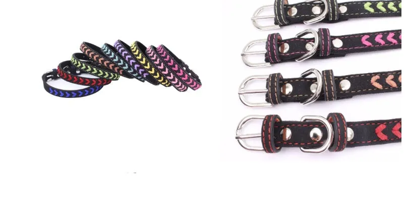 Stainless steel iron dog collar with laser lettering on genuine leather strap, available in blue, pink, purple, red and yellow