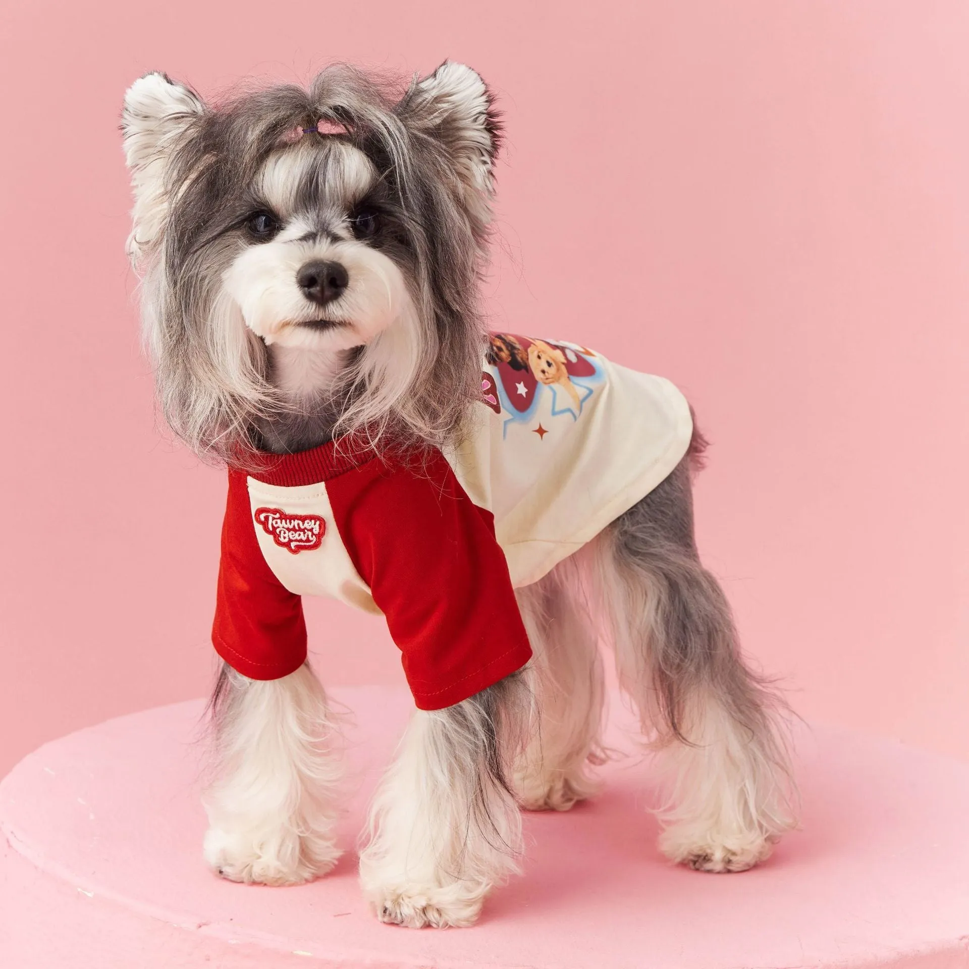Cotton dog summer clothes with contrast embroidery in red or pink, available in sizes XS to XXL