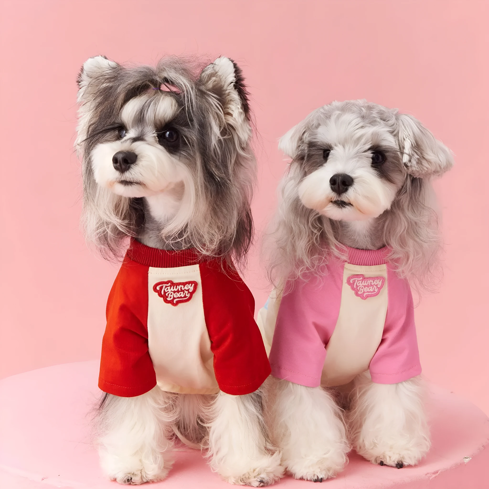 Cotton dog summer clothes with contrast embroidery in red or pink, available in sizes XS to XXL