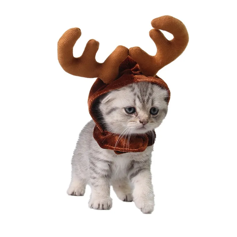 Brown Christmas deer hat with antlers on a cat or small dog