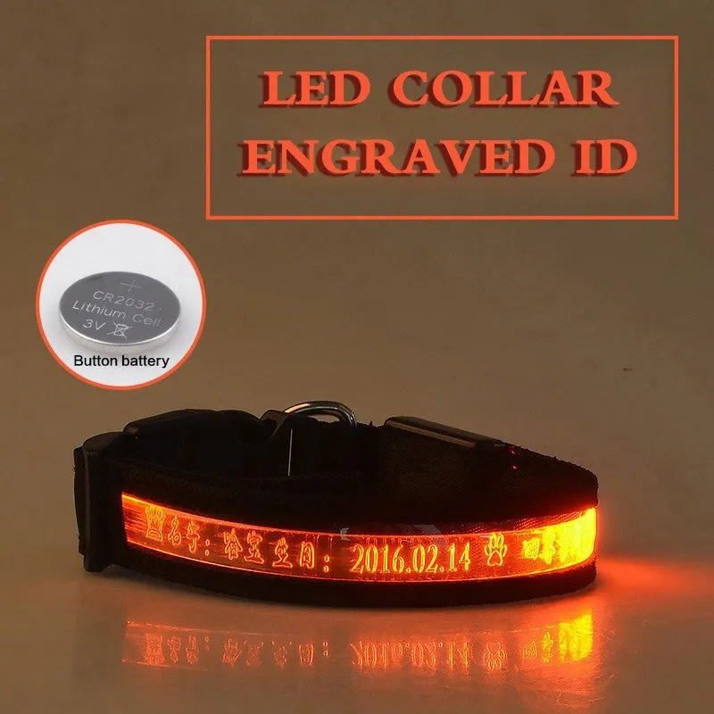 Pet glow collar with radium carved lettering in PP material, available in multiple colours and sizes