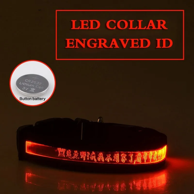 Pet glow collar with radium carved lettering in PP material, available in multiple colours and sizes