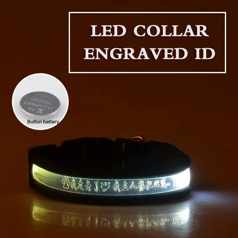 Pet glow collar with radium carved lettering in PP material, available in multiple colours and sizes