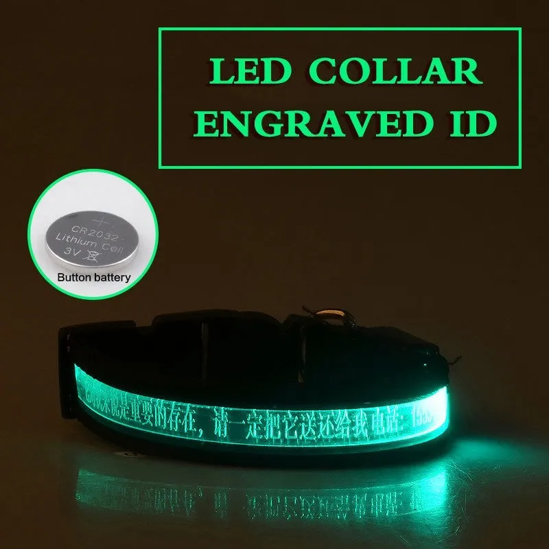 Pet glow collar with radium carved lettering in PP material, available in multiple colours and sizes