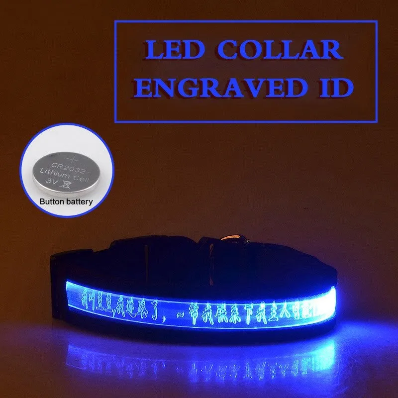 Pet glow collar with radium carved lettering in PP material, available in multiple colours and sizes