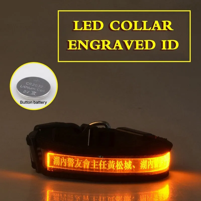 Pet glow collar with radium carved lettering in PP material, available in multiple colours and sizes