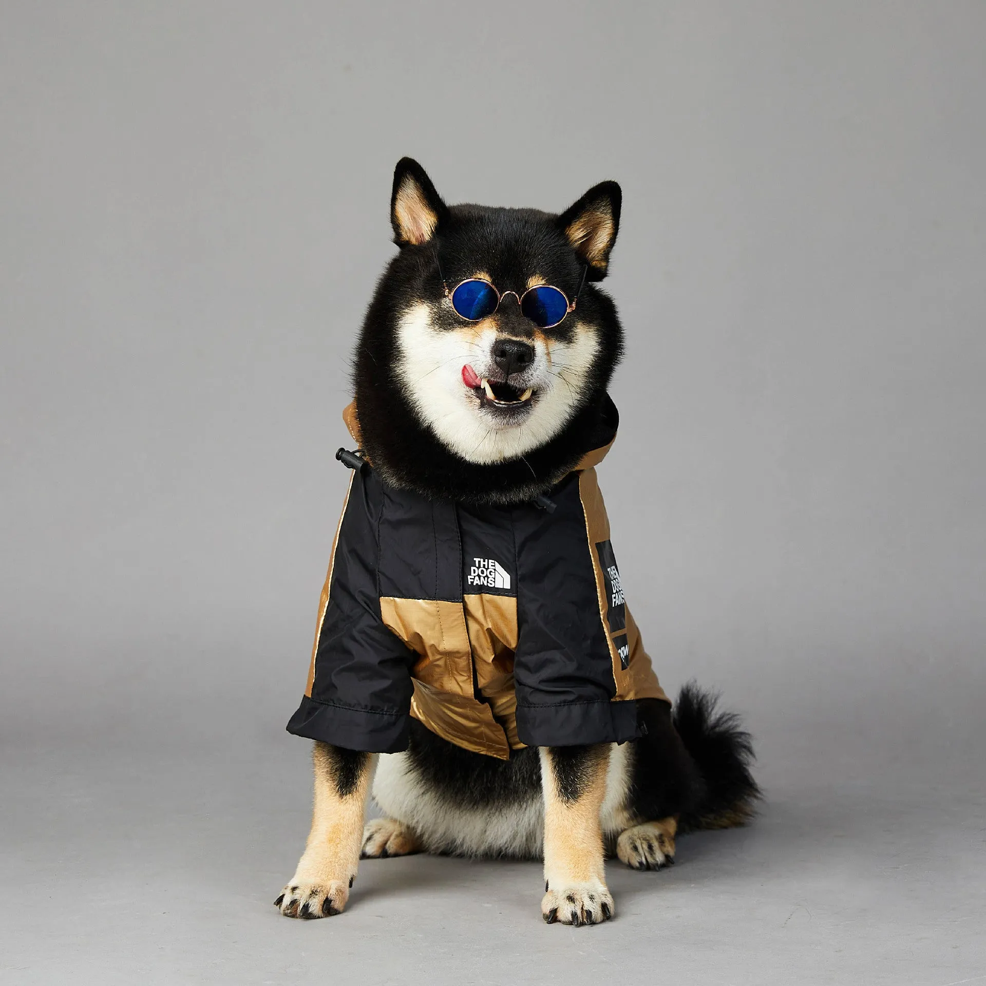 Gold polyester windproof rainproof dog raincoat shell jacket for large dogs