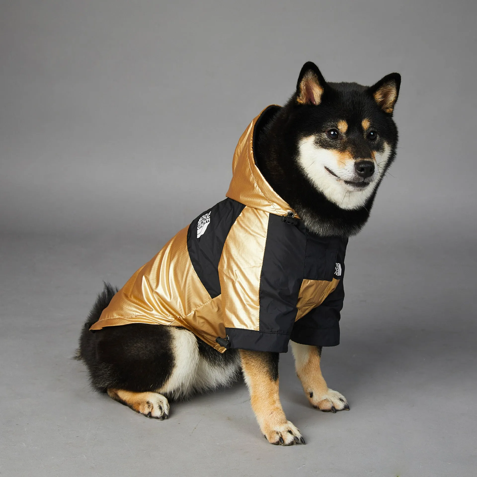Gold polyester windproof rainproof dog raincoat shell jacket for large dogs