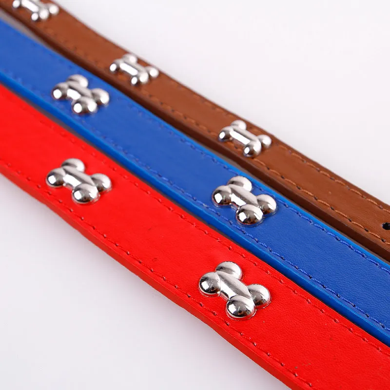 Pet leather collar with metal buckle in five colours for dogs and cats in M and S sizes