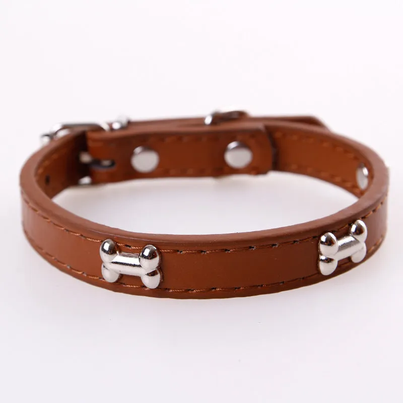 Pet leather collar with metal buckle in five colours for dogs and cats in M and S sizes