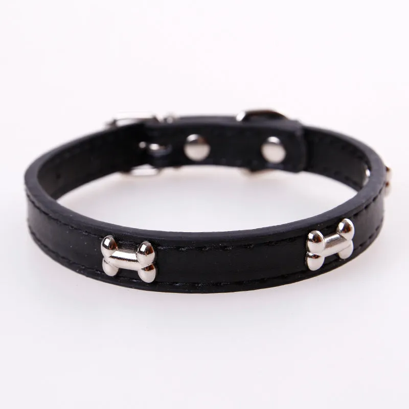 Pet leather collar with metal buckle in five colours for dogs and cats in M and S sizes