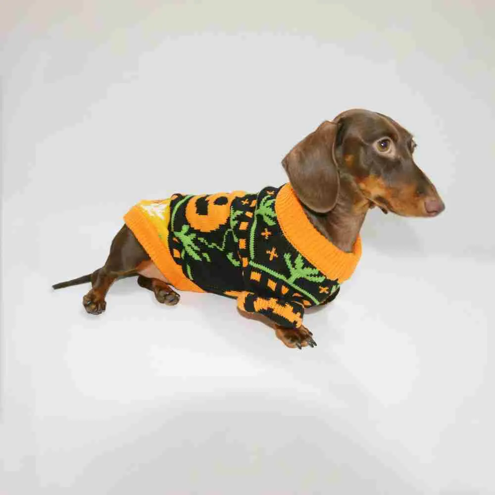 Pumpkin Halloween sweater for dogs and cats, polyester, sizes XS to XL, on a pet
