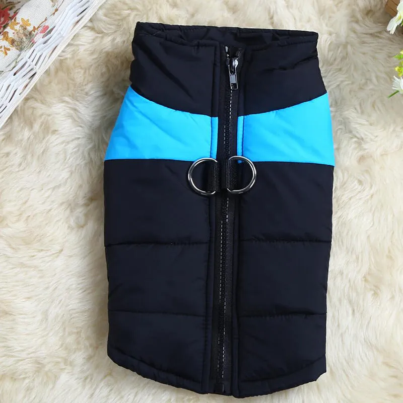 Autumn winter dog ski suit cotton coat vest in blue, showing vest style and casual design