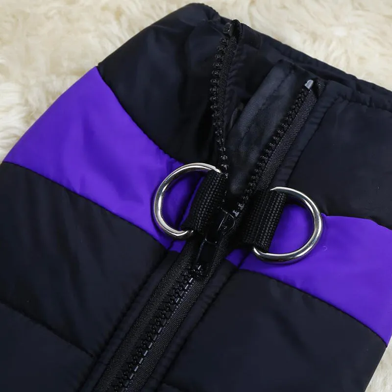 Autumn winter dog ski suit cotton coat vest in blue, showing vest style and casual design