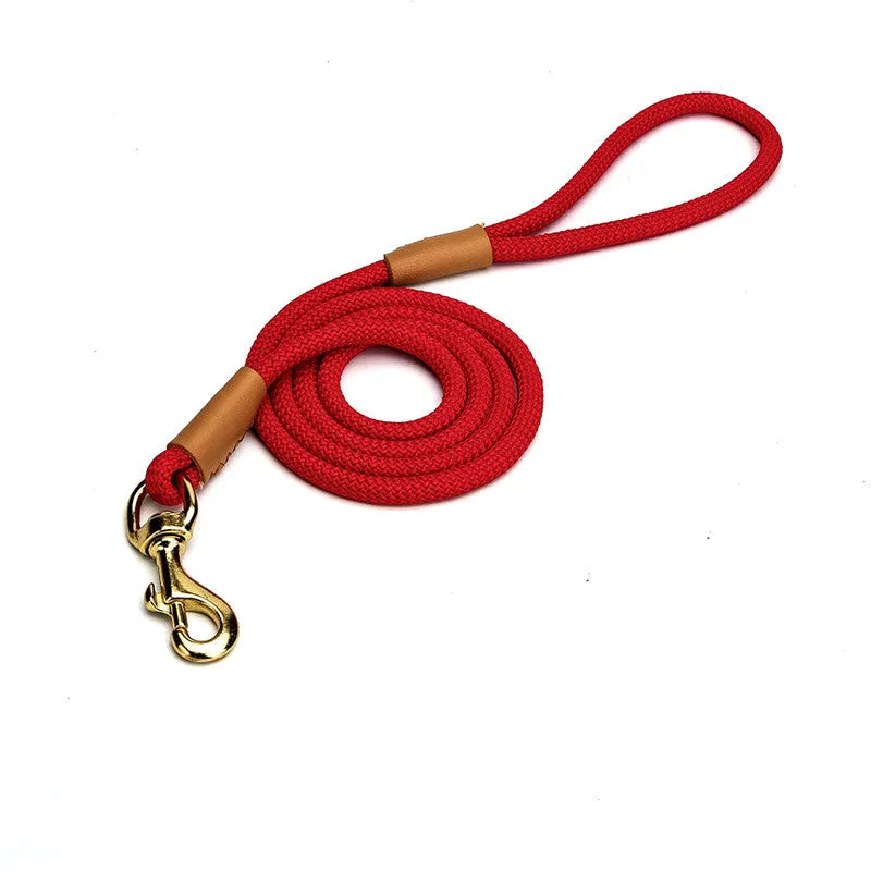 Lightweight blue nylon dog leash with metal clip on a white background.