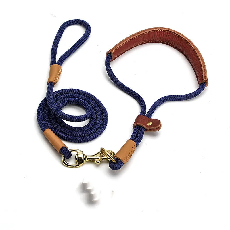 Lightweight blue nylon dog leash with metal clip on a white background.