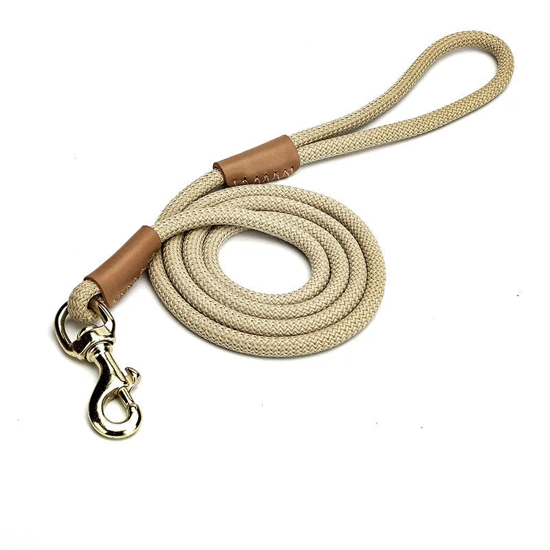 Lightweight blue nylon dog leash with metal clip on a white background.