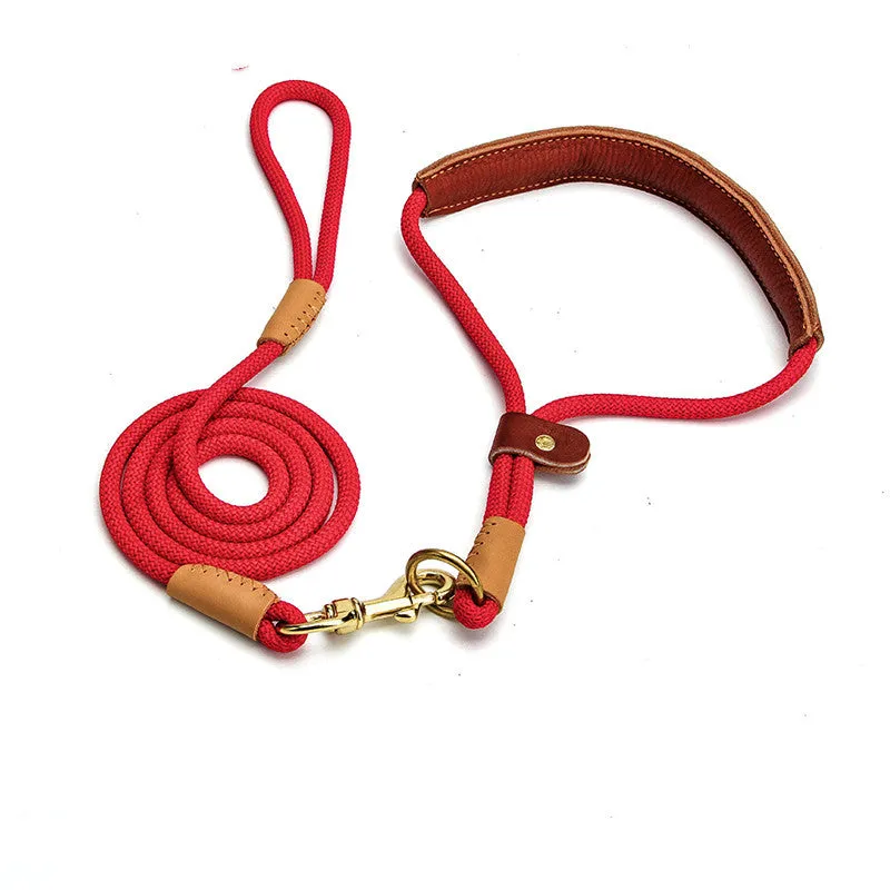 Lightweight blue nylon dog leash with metal clip on a white background.