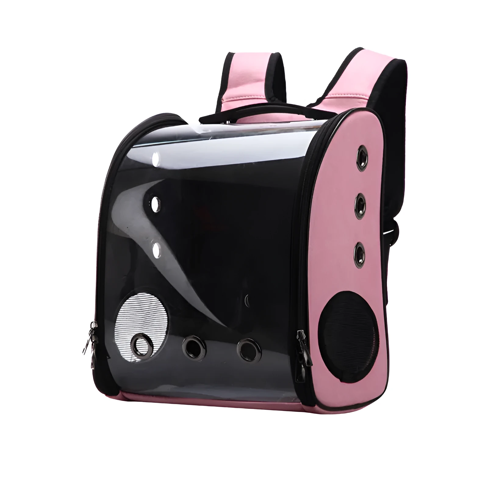 Folding transparent pet backpack in black, made from food-grade PC, carrying a small cat.
