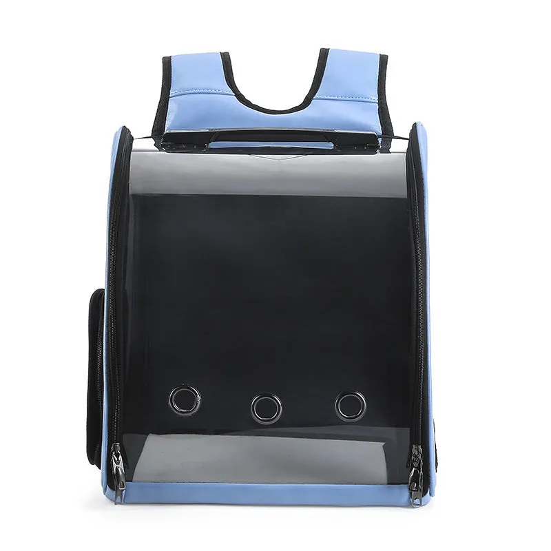 Folding transparent pet backpack in black, made from food-grade PC, carrying a small cat.