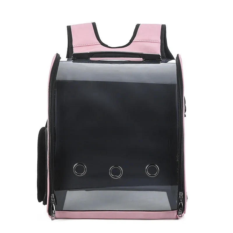 Folding transparent pet backpack in black, made from food-grade PC, carrying a small cat.