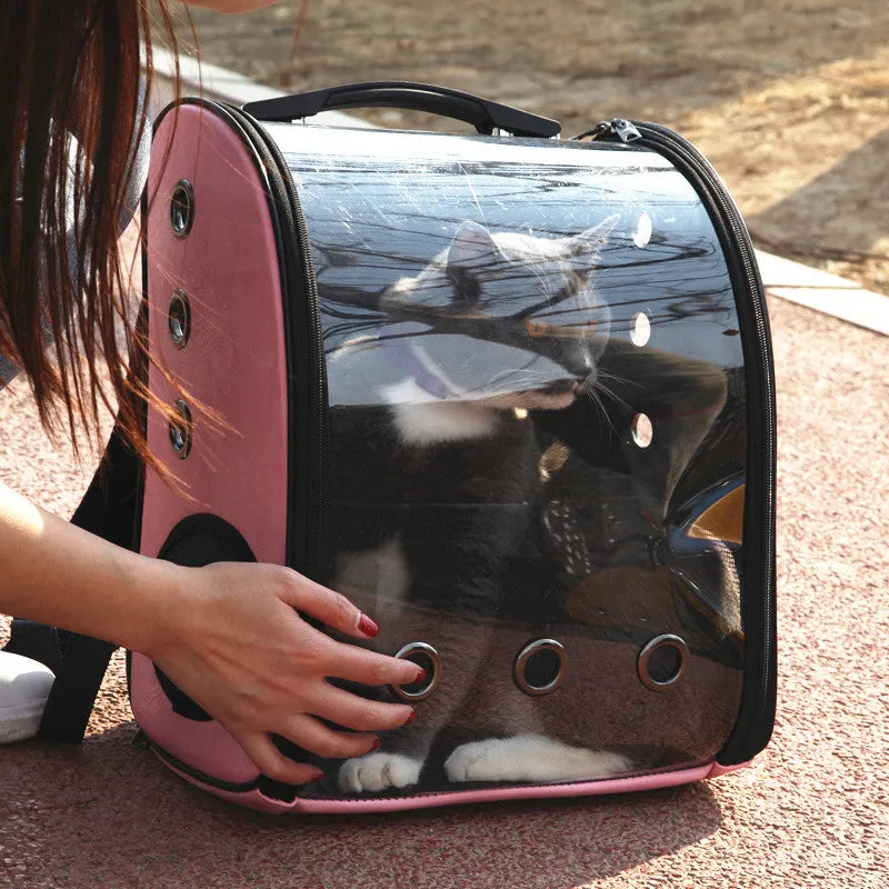 Folding transparent pet backpack in black, made from food-grade PC, carrying a small cat.