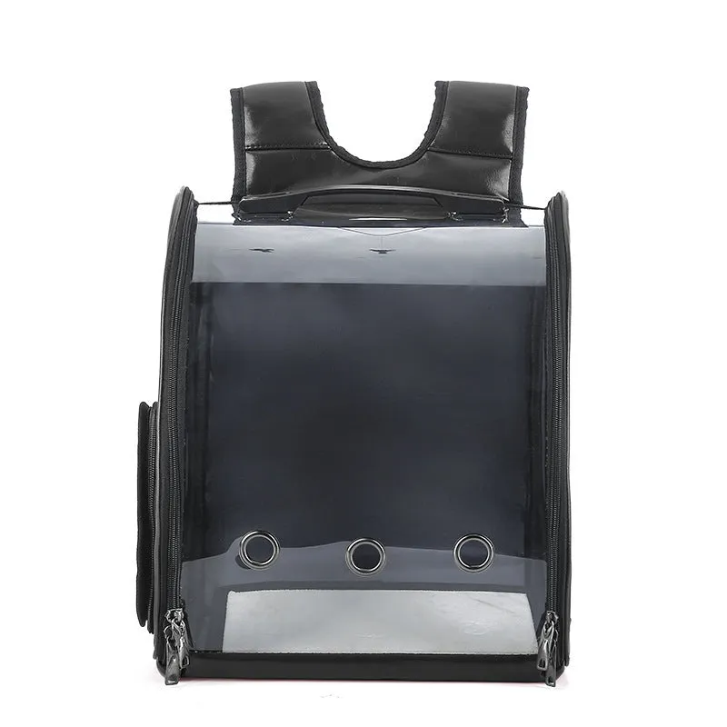 Folding transparent pet backpack in black, made from food-grade PC, carrying a small cat.