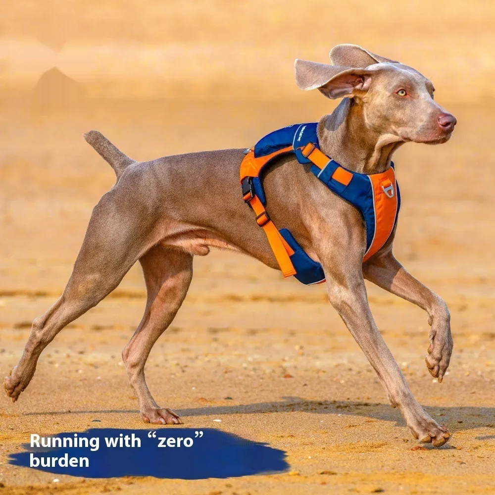 Nylon dog chest strap vest harness in orange blue or yellow brown with hand rope style design