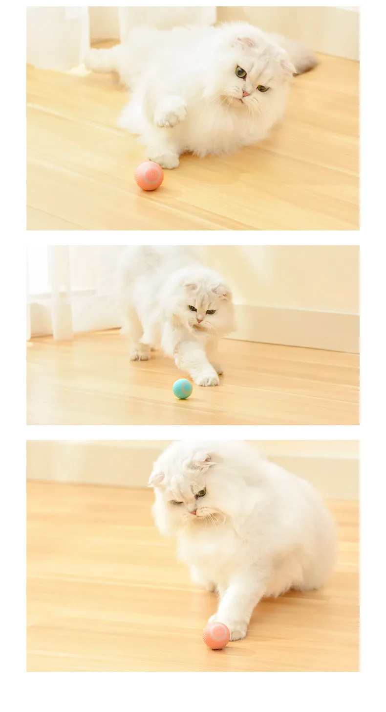 Cat Gravity 43mm plastic rolling ball toy with bionic motion and obstacle avoidance for cats on a hard floor