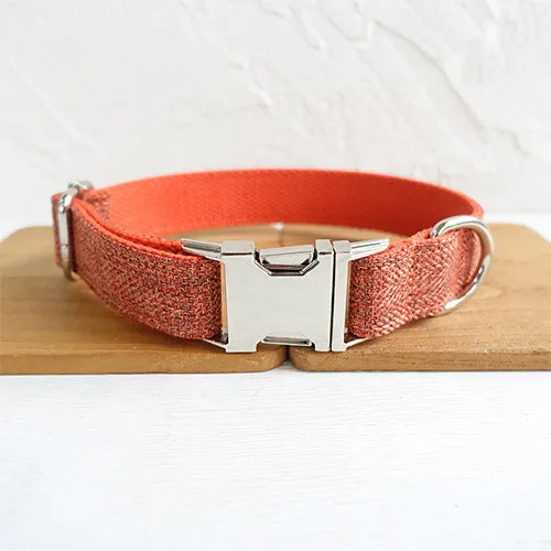 Double-layer thick polyester pet leash with adjustable metal buckle on a neutral background