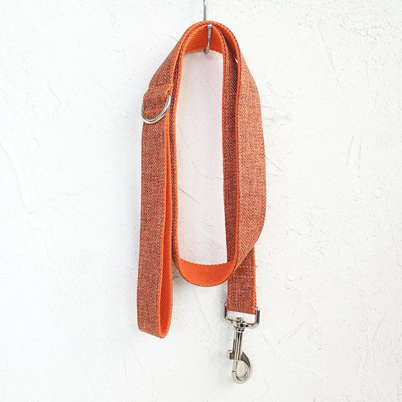 Double-layer thick polyester pet leash with adjustable metal buckle on a neutral background
