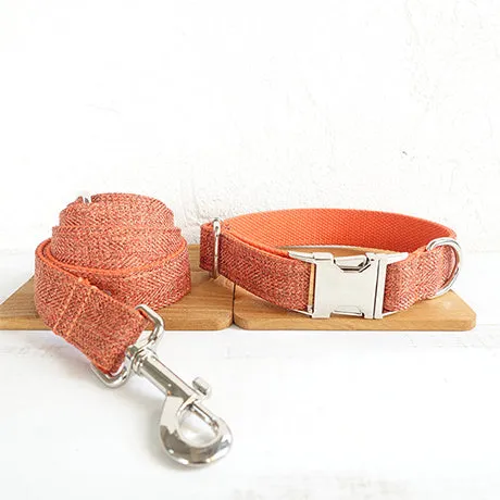 Double-layer thick polyester pet leash with adjustable metal buckle on a neutral background