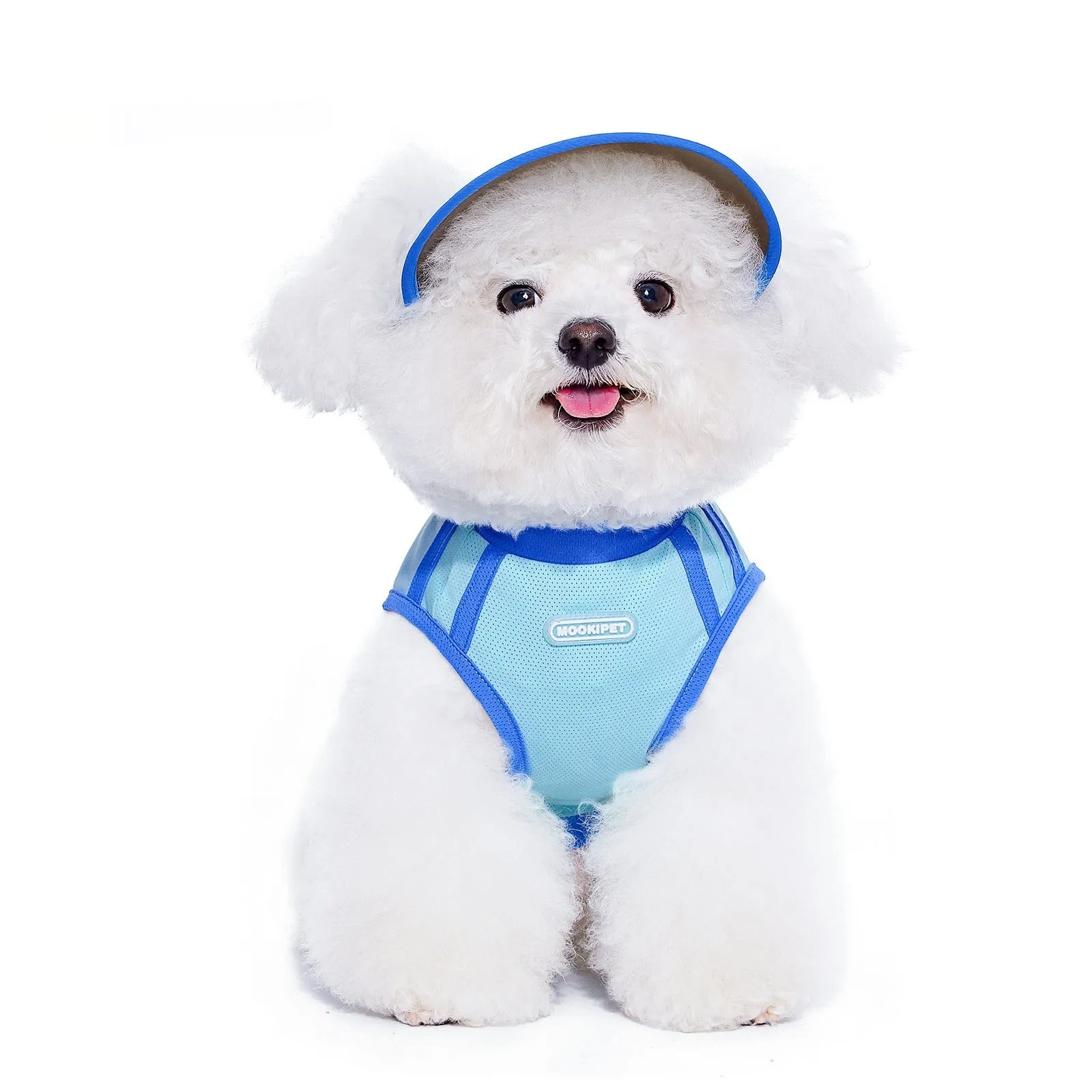 Blue nylon dog hat for small dogs, casual style, spring autumn, size S M L