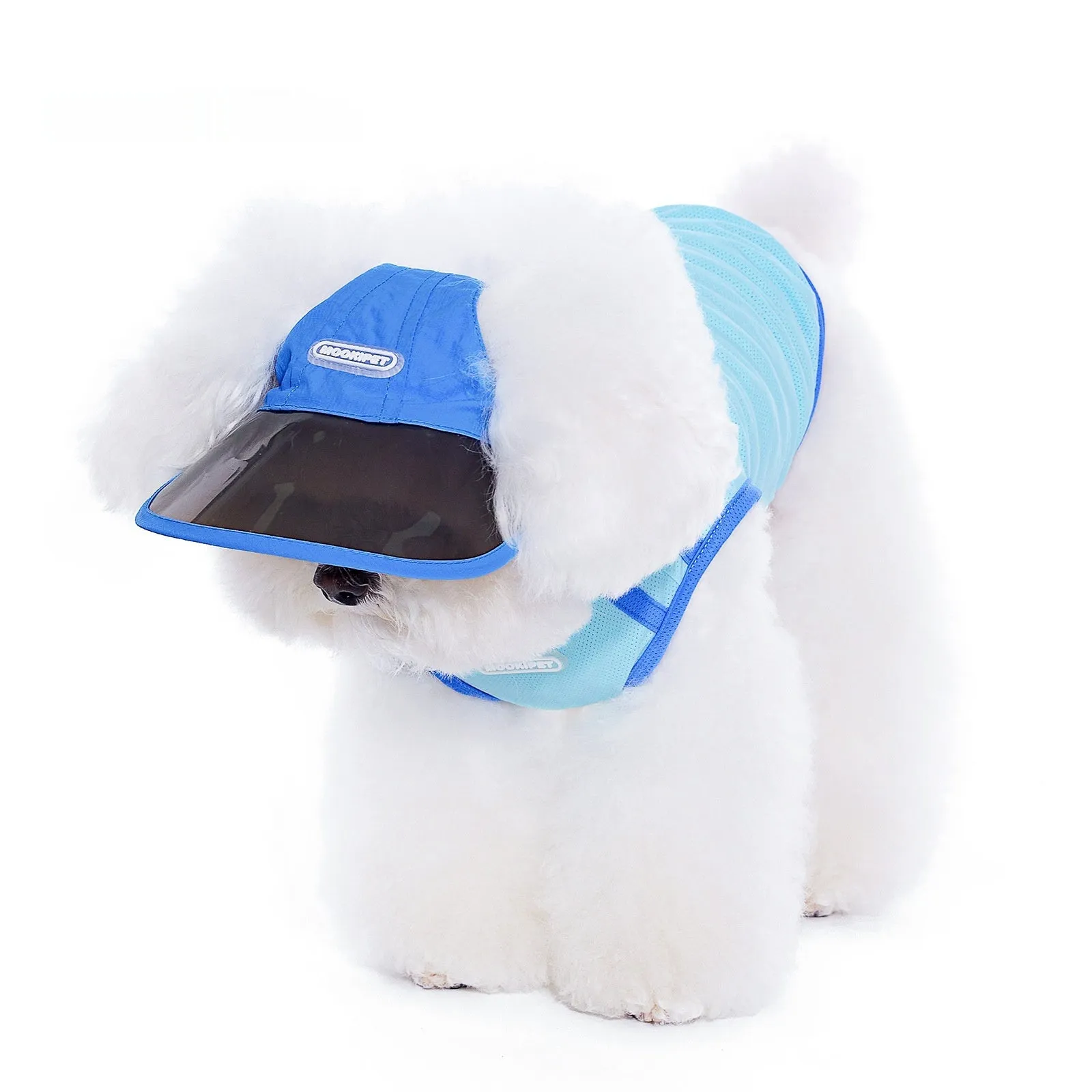 Blue nylon dog hat for small dogs, casual style, spring autumn, size S M L