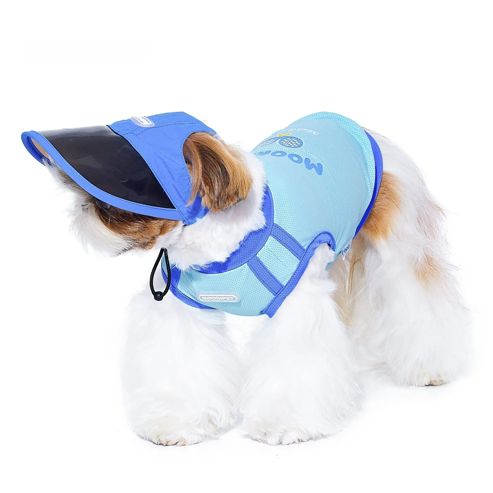 Blue nylon dog hat for small dogs, casual style, spring autumn, size S M L