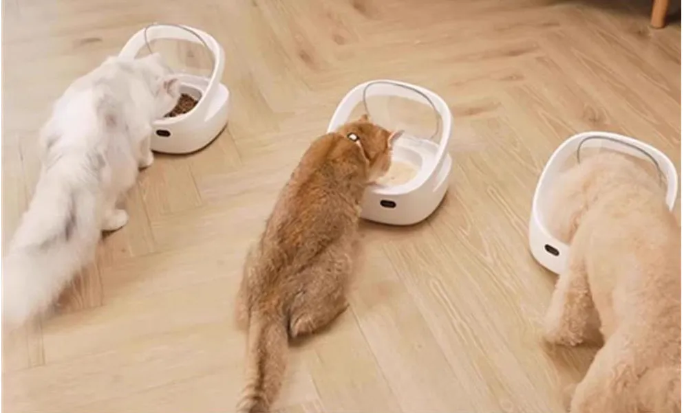 Smart pet feeder in white plastic with food bowl and ice box for cats
