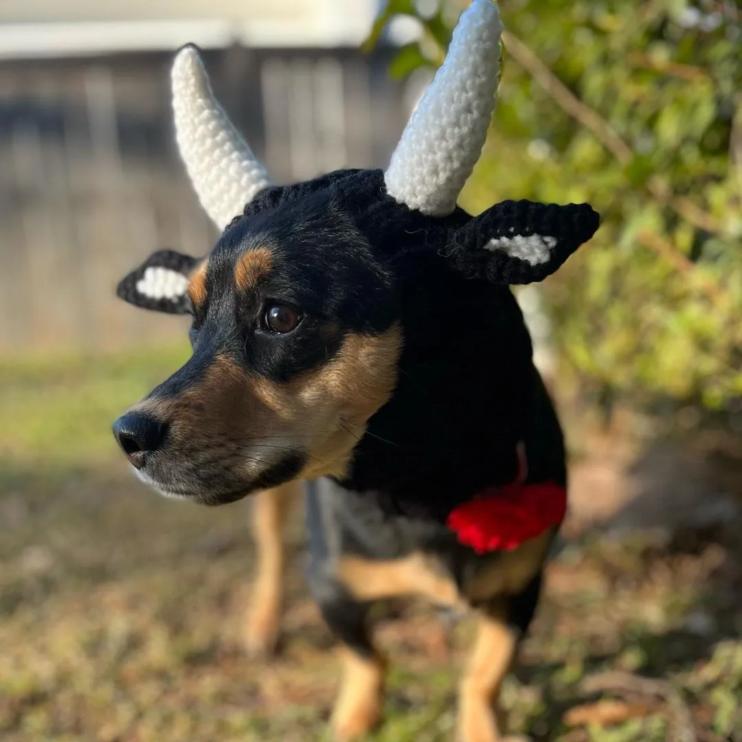 Black Cow thermal windproof knitted dog hat with Jacquard pattern for pets