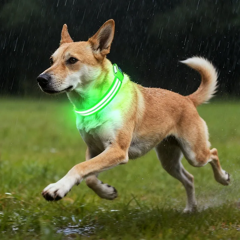Shiny double fiber nylon dog collar with luminous mode, available in multiple colours and sizes S, M, L
