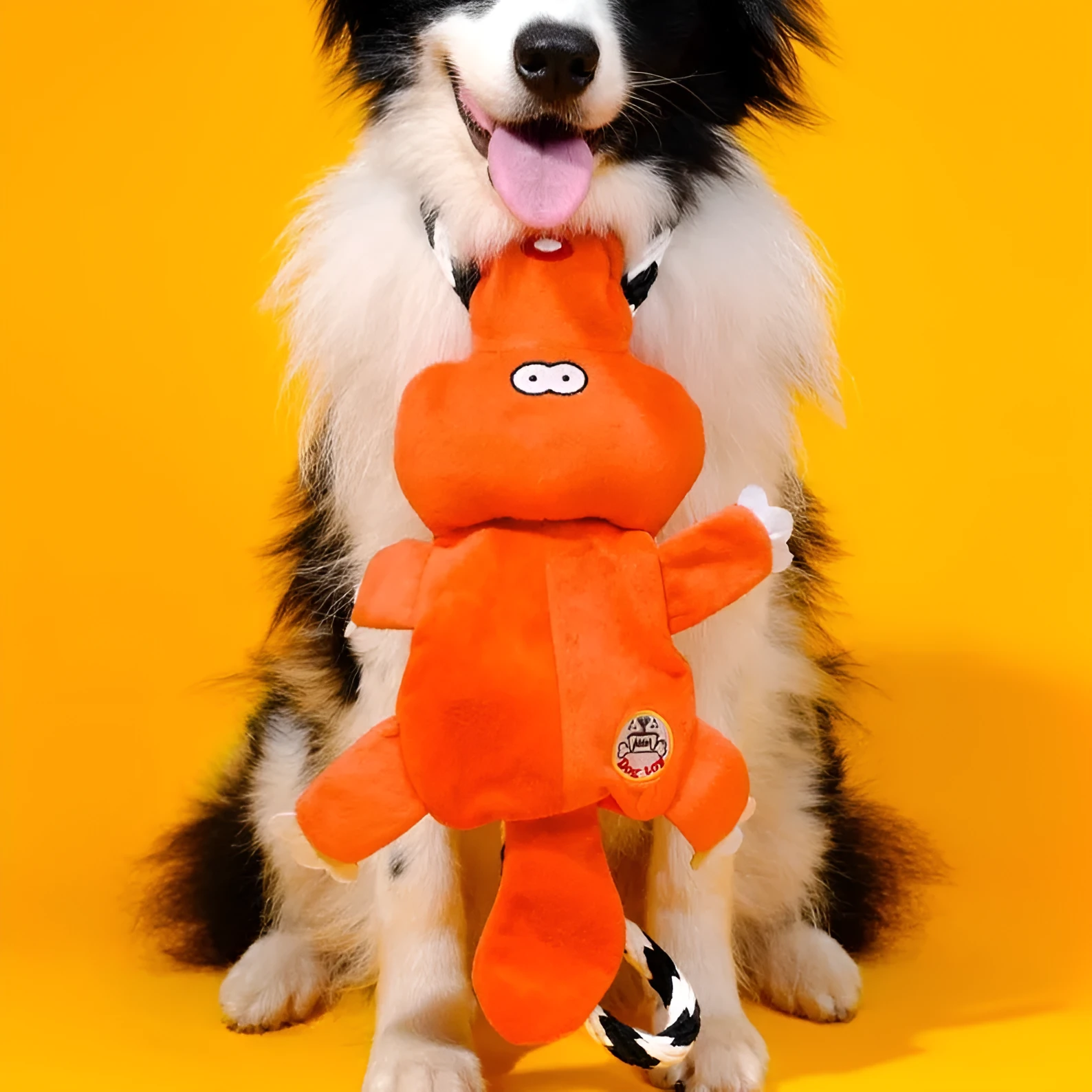 Two cotton string molar sound dog toys in suit colour on a surface