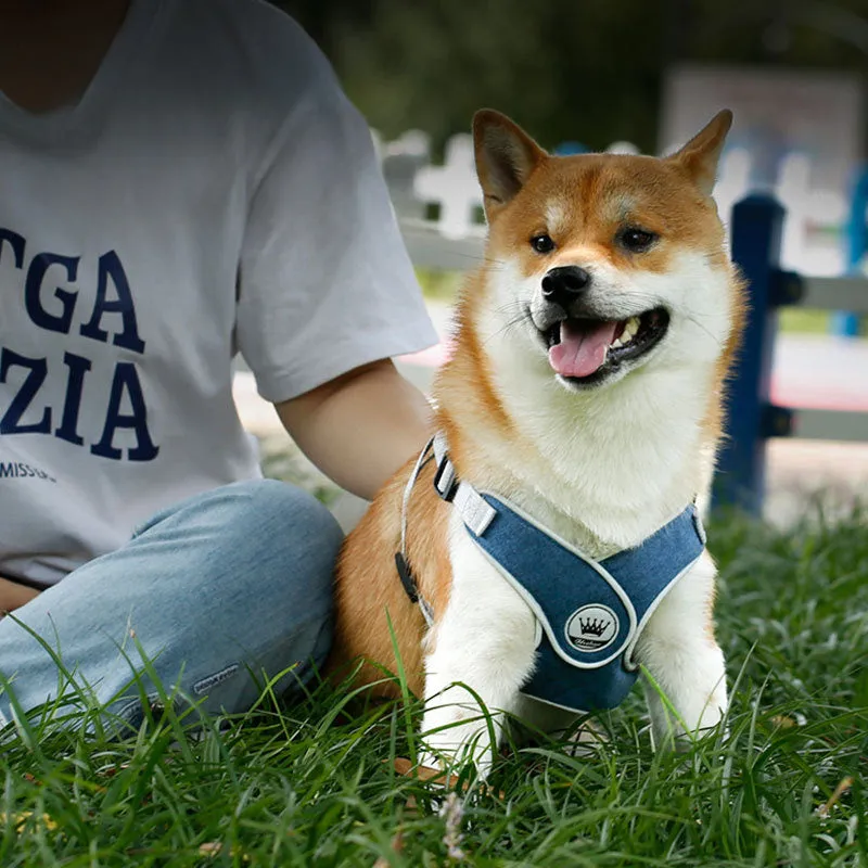 Adjustable mesh dog harness with reflective straps and metal back ring for leash attachment