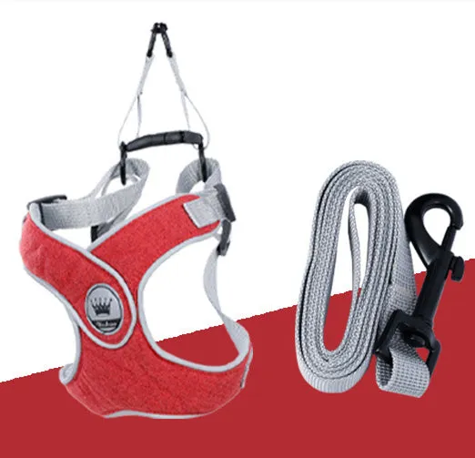 Adjustable mesh dog harness with reflective straps and metal back ring for leash attachment
